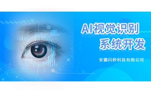 ai,人工智能,系统开发,视觉识别,科技创造价格:$