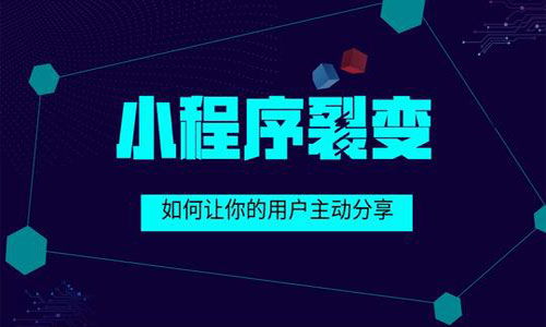 湛江小程序app开发对湛江企业 商家的好处