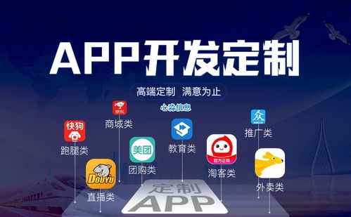 软件开发是选择模板系统还是定制好